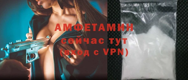 прущие грибы Медногорск