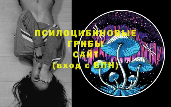 винт Мегион