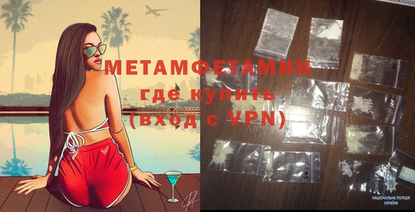 прущие грибы Медногорск