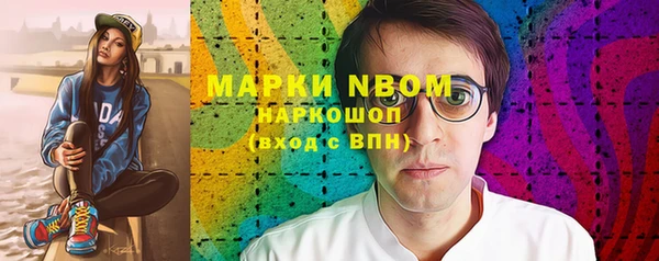 прущие грибы Медногорск