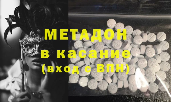 прущие грибы Медногорск