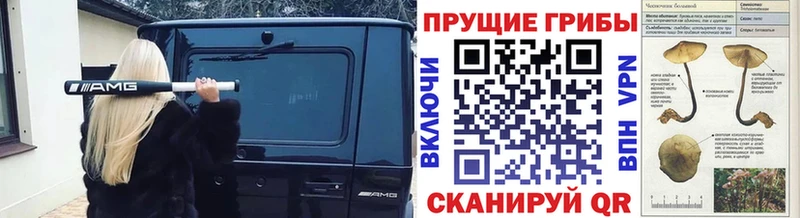 купить наркотики цена  Отрадный  Псилоцибиновые грибы мицелий 