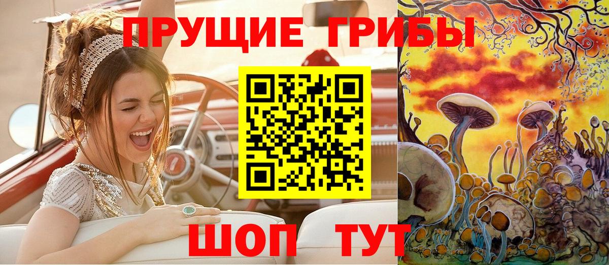 Галлюциногенные грибы Psilocybine cubensis  Галлюциногенные грибы Psilocybe  Отрадный  Вход с VPN 