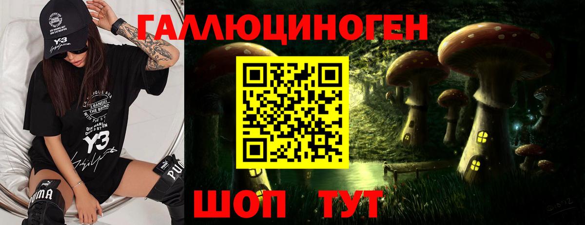 Галлюциногенные грибы Cubensis Отрадный